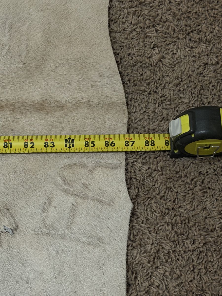 Main image 5