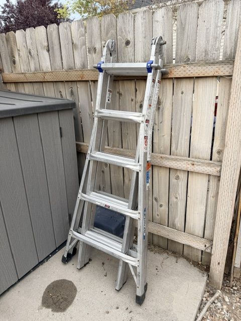 Little Giant and Werner Ladders