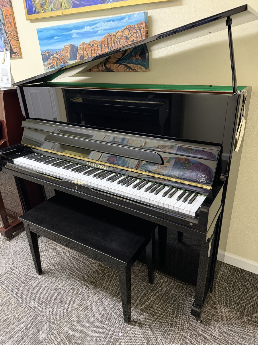 47" STUDIO YOUNG CHANG EBONY POLISH USED