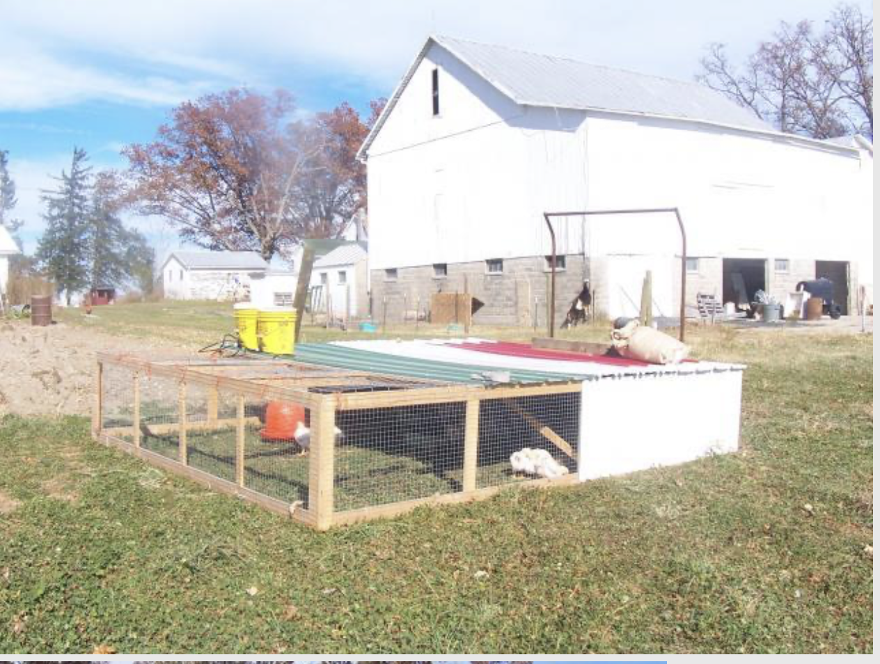 Chicken Tractors for Sale – Great for Meat Birds