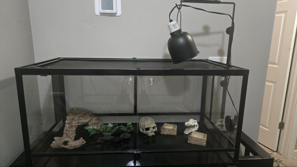 Reptile Cage