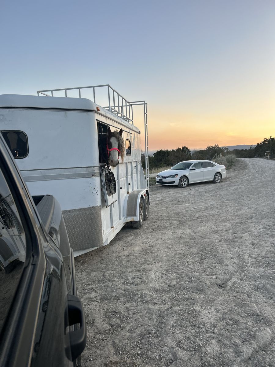 Used White Horse Trailer - Reliable Transport for Your Equine Companions