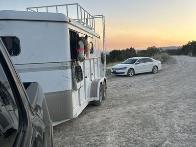 Used White Horse Trailer - Reliable Transport for Your Equine Companions