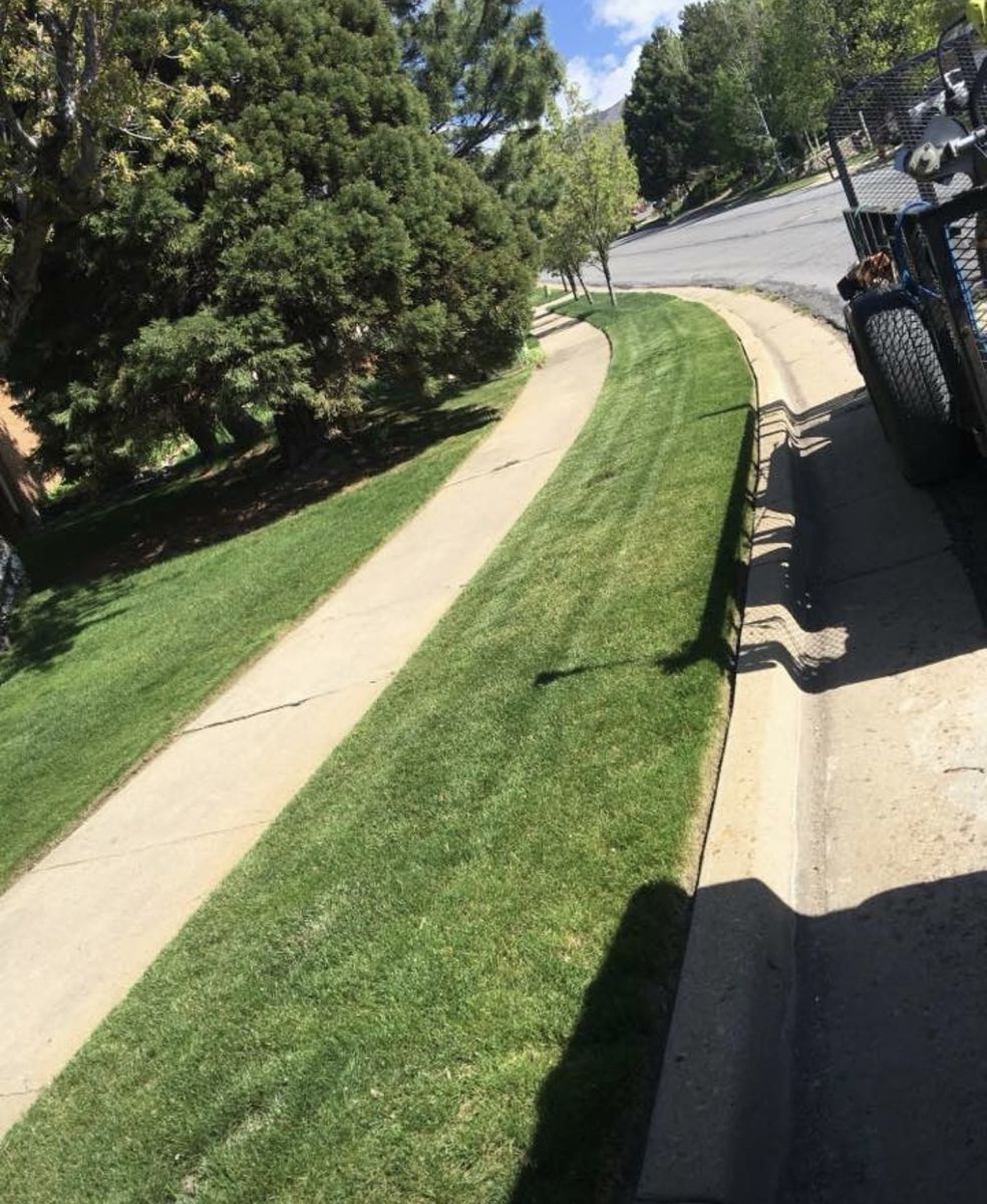 Lawn Mowing | Lawn Mower | Landscaping