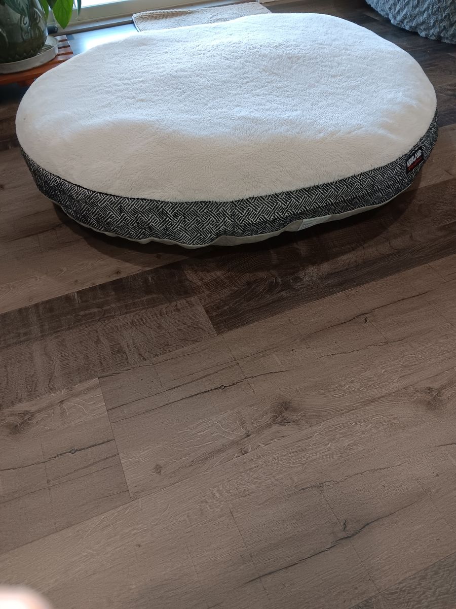 Large Pet Bed W/ Washable cover