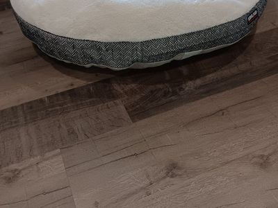 Large Pet Bed W/ Washable cover