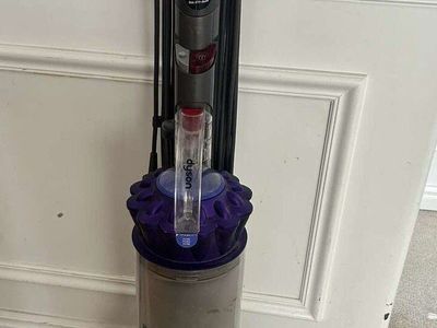 Dyson Animal Ball Vacuum