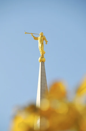 Main image 4