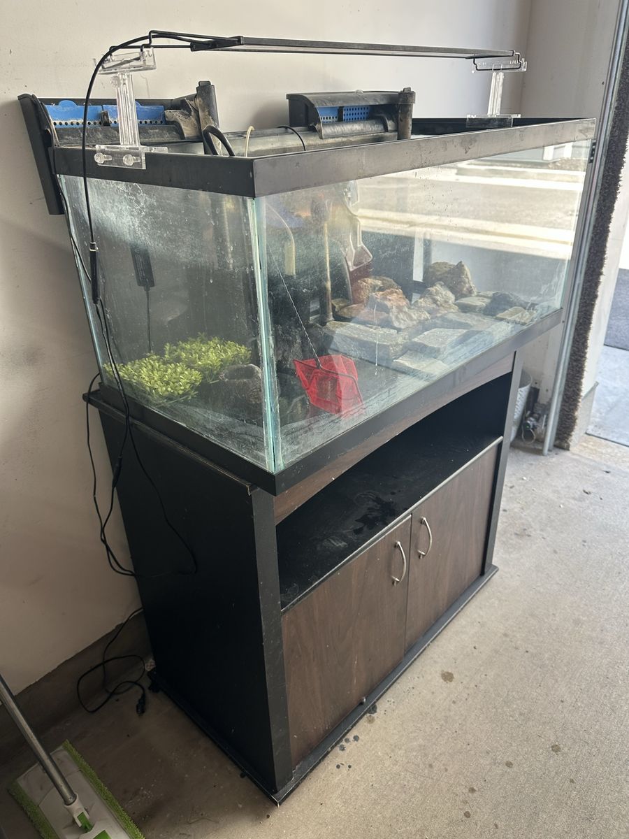 40 gallon Fish Tanks and stand with all accessories