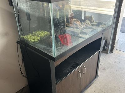 40 gallon Fish Tanks and stand with all accessories