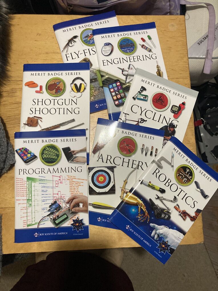 Merit Badge Book Set