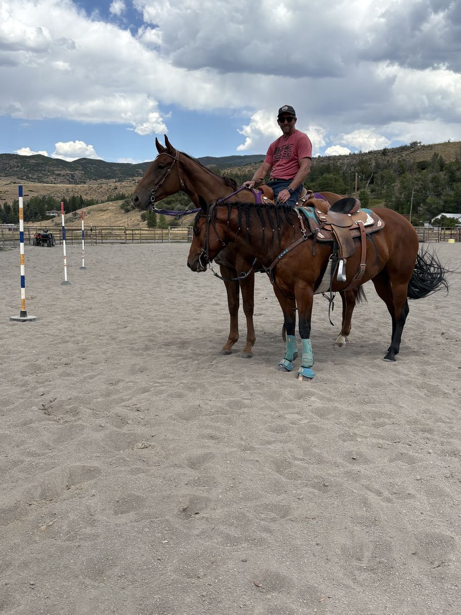 First DOwn Dash /  Dash To Fame 4 Year Old Gelding