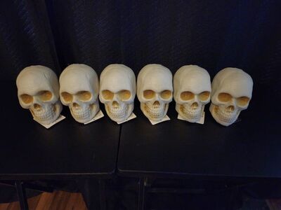 Plastic Skulls - Halloween Decor