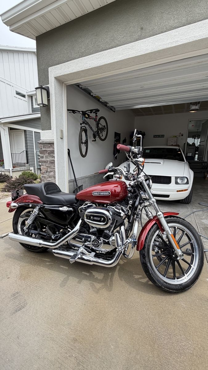 2009 Harley-Davidson Sportster 1200 Low Motorcycle - Excellent Condition