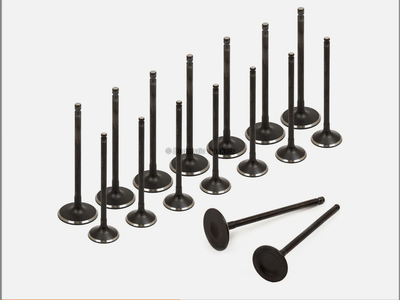 16 Intake Exhaust Valves Set for Honda Acura K20 K23 K24 Engine 14711-PNL-E00