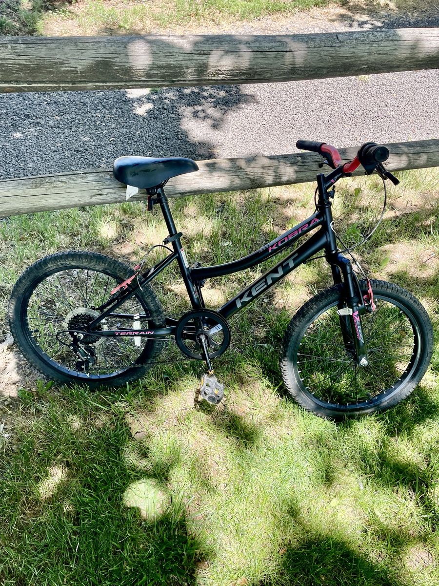 20” bike