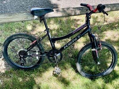 20” bike