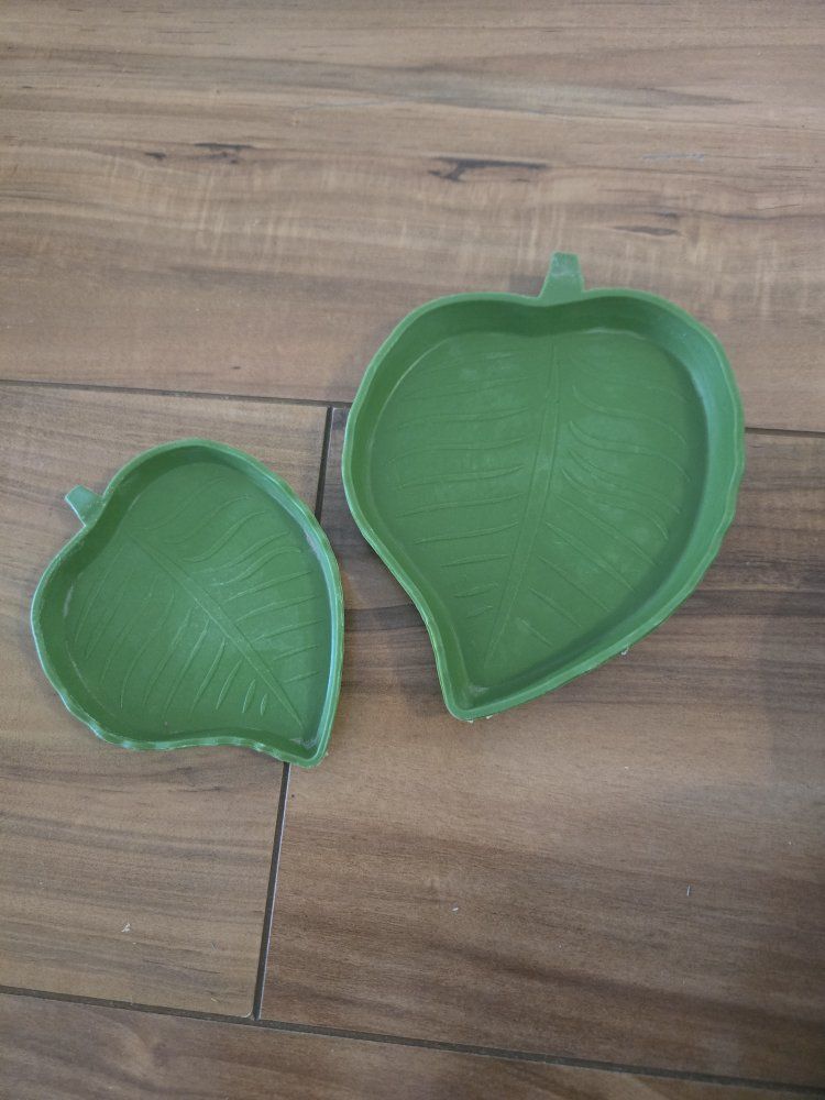 shallow reptile water dishes