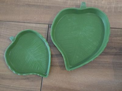 shallow reptile water dishes