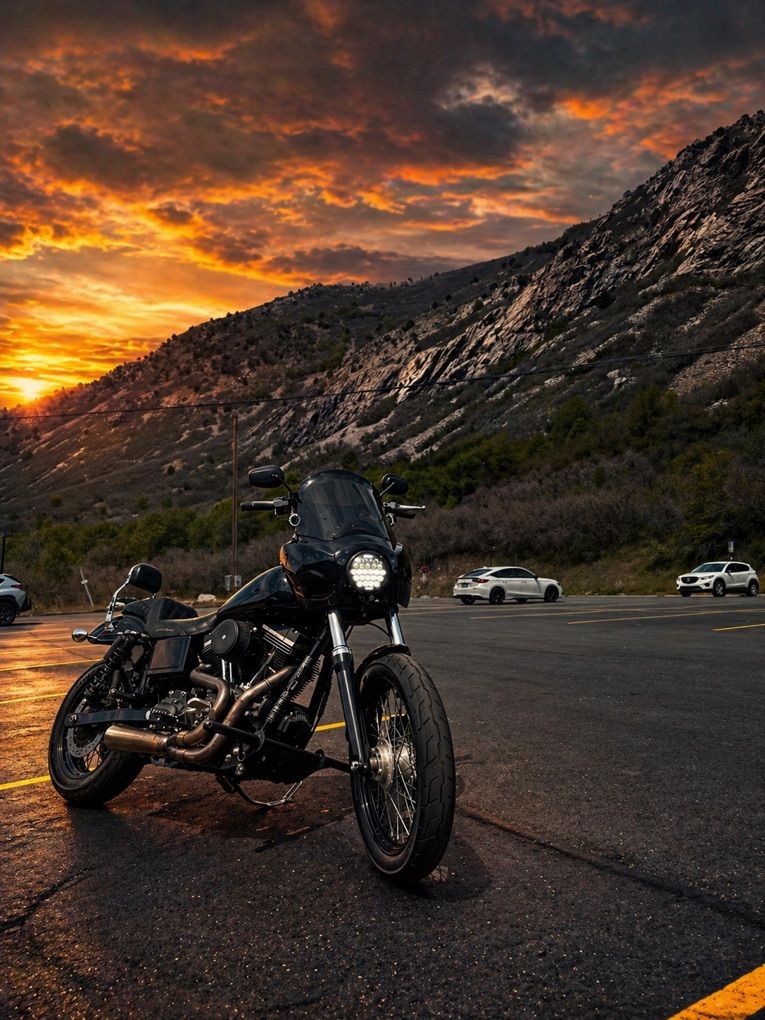 2017 Harley Davidson Dyna