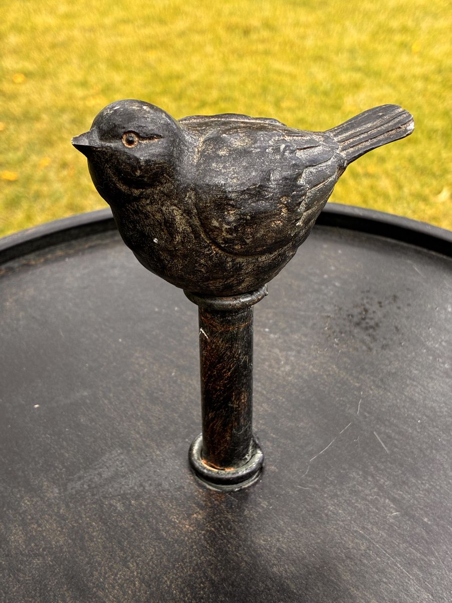 Main image 5