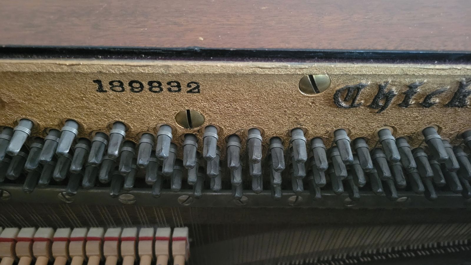 Main image 4