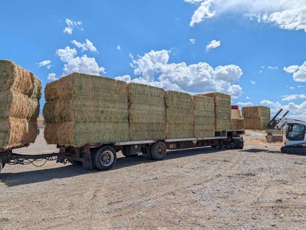 ALFALFA HAY FOR SALE!!