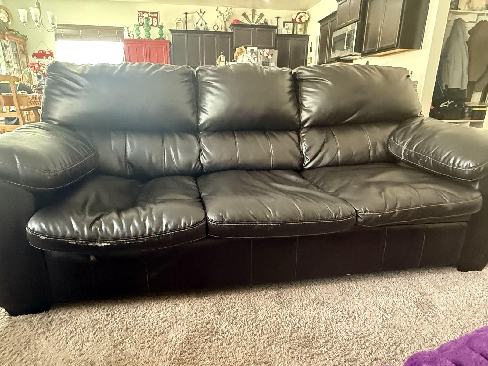 FREE Couch and Lounger