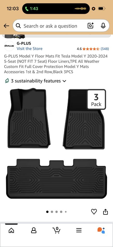 Tesla Floor Mats