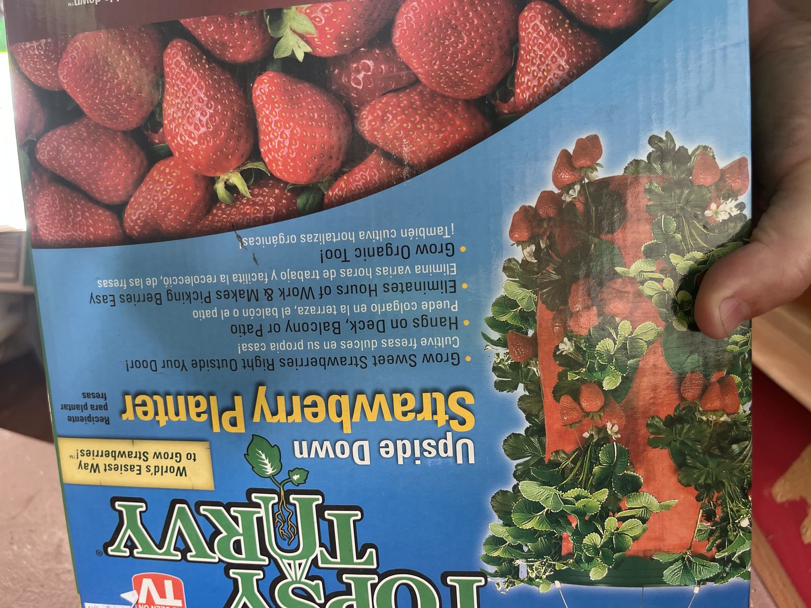 Hanging Planters for strawberries and peppers