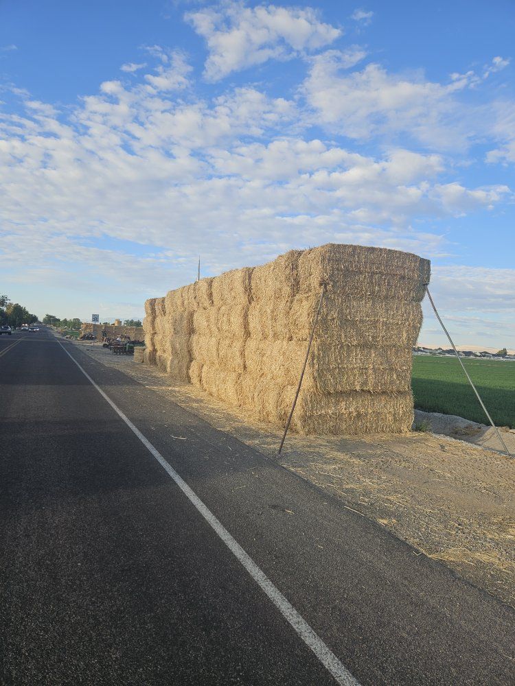 Large Stacked Straw Bales for Sale