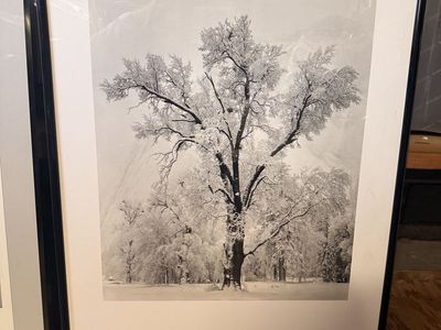 Ansel Adams Prints