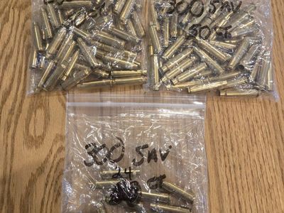 300 Savage new brass