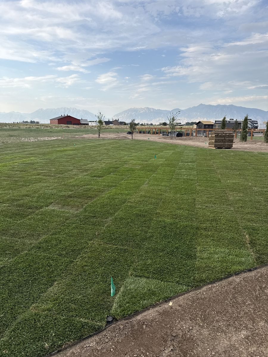 Fresh Idaho Sod - Approx. 650 sq ft, Recently Delivered