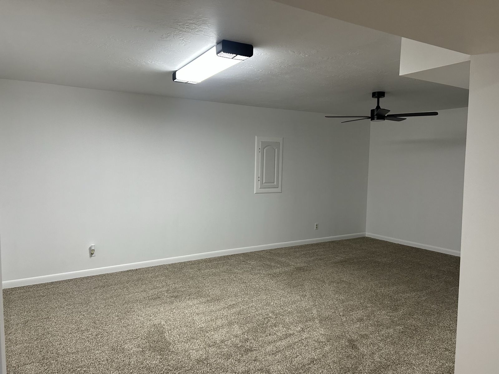 Main image 6