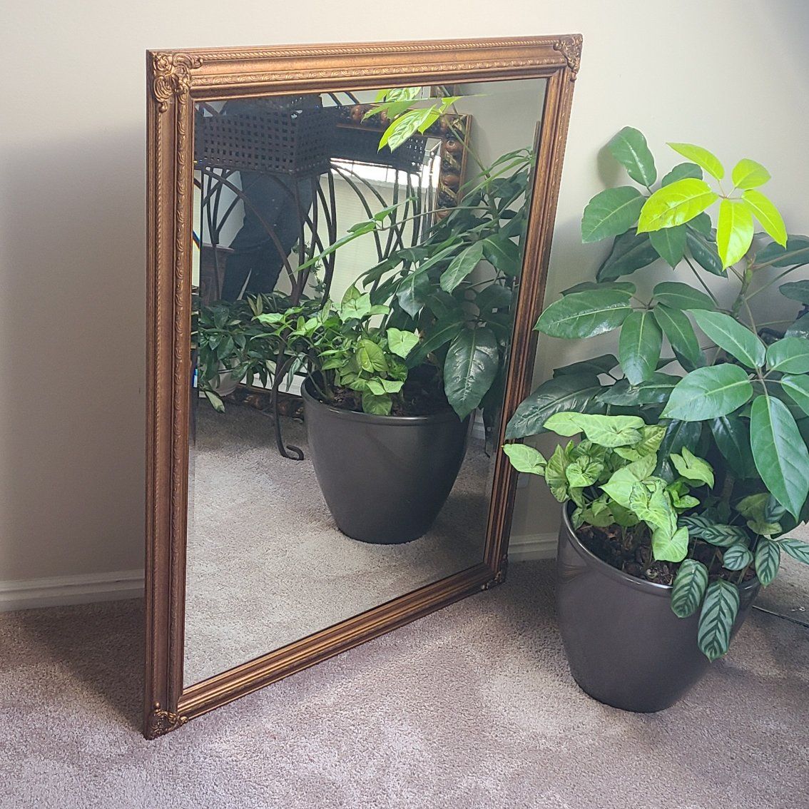 35.5x45.5 Gold Mirror