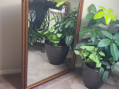 35.5x45.5 Gold Mirror