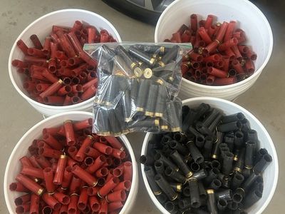 Winchester AA 12GA Shotgun Hulls