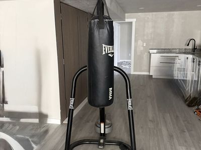 Punching bag with stand and weights