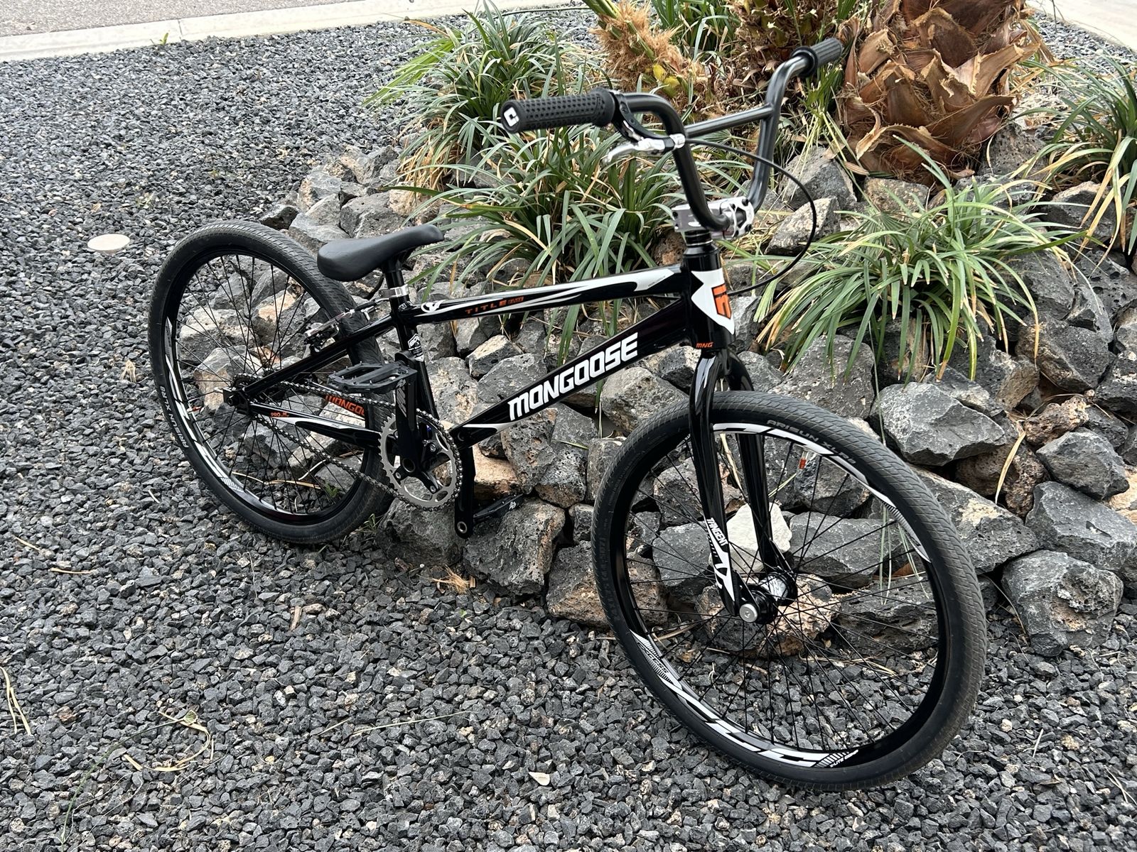 BMX 24 Race Mongoose Title Elite Cruiser