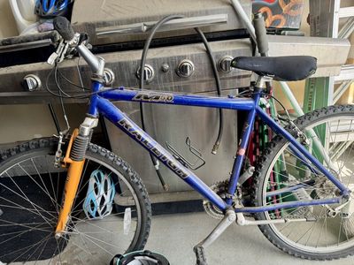 Older Raleigh M50 female mountain bike