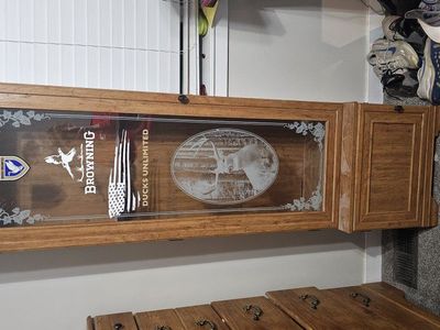 Gun display case