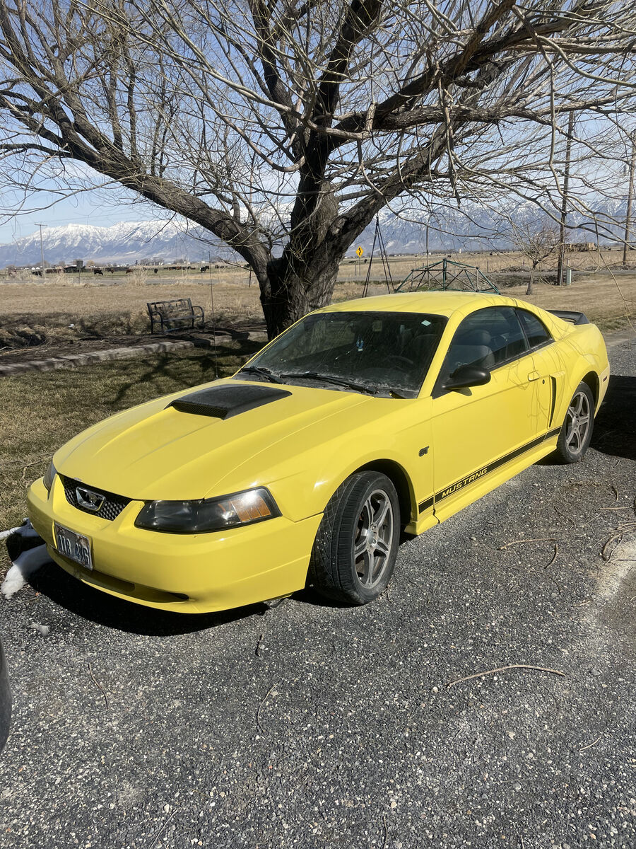 2003 FORD MUSTANG GT Premium