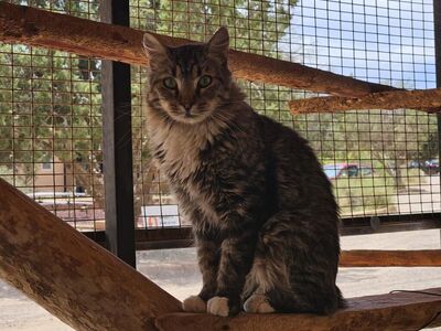 Hello my name is Jade