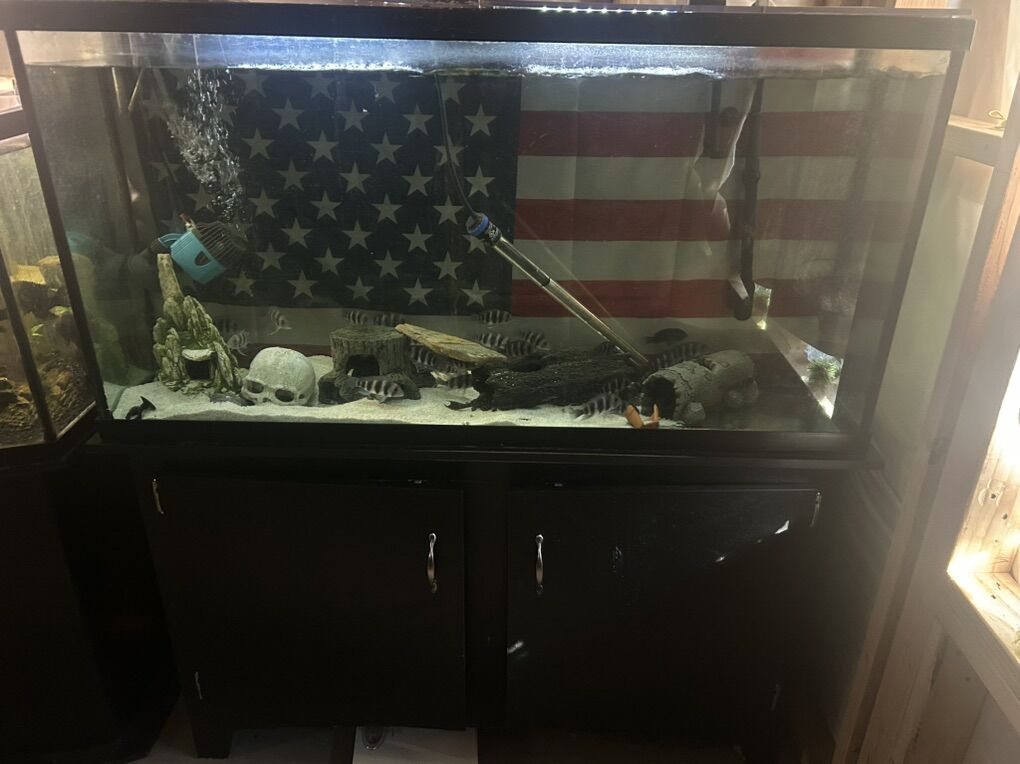 Tall 55 Galloon Tank