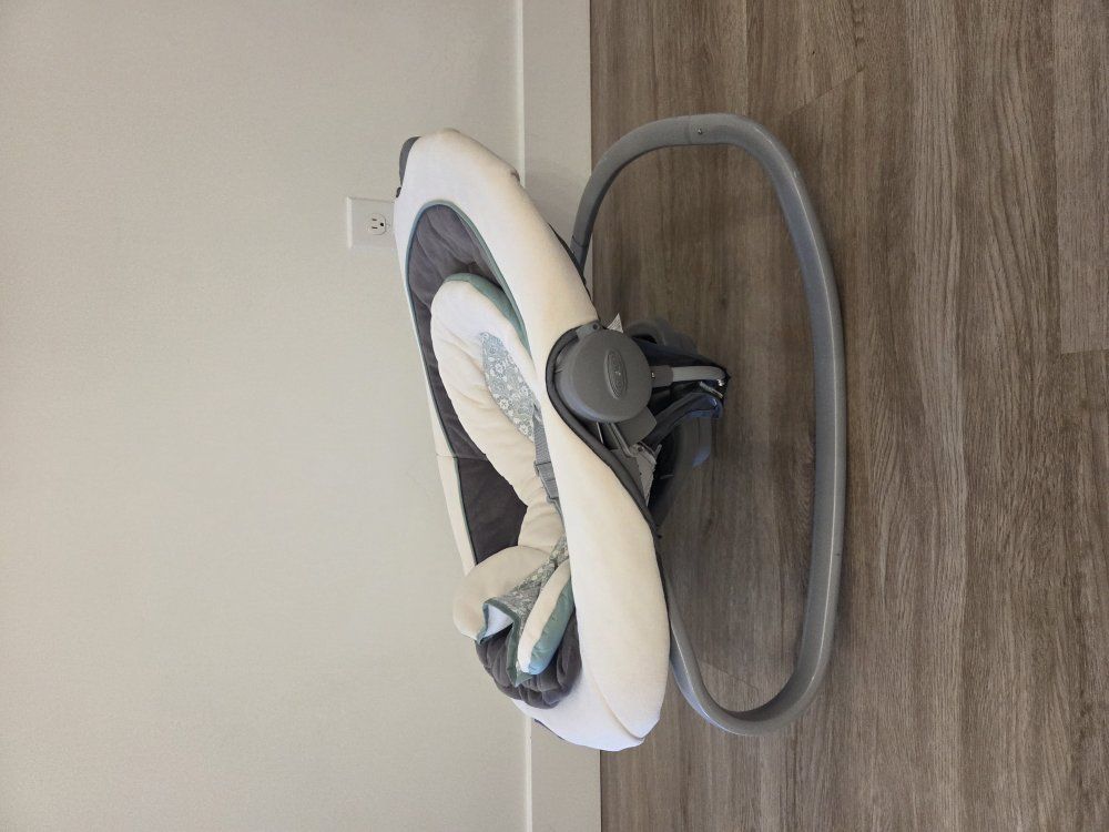 Graco Baby Rocker / Bouncer