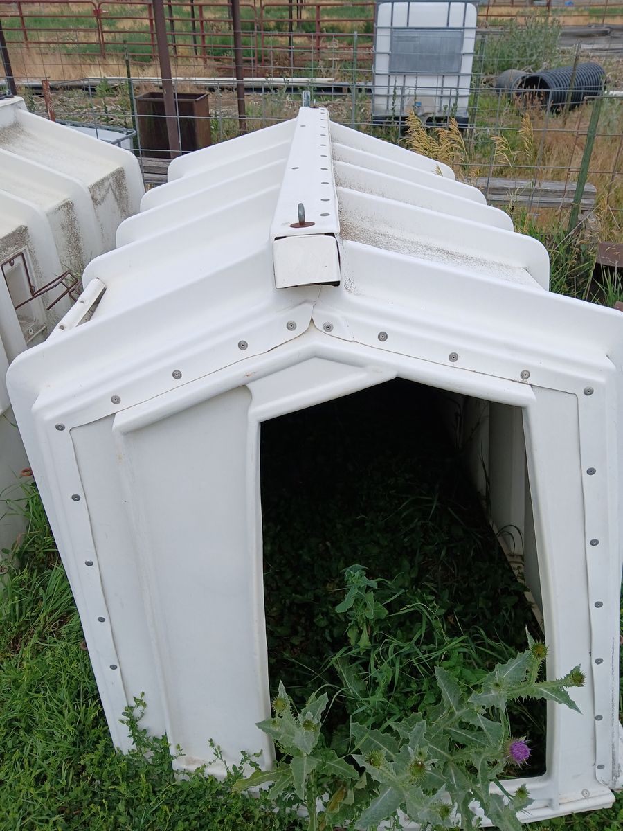 Calf hutch (hut)