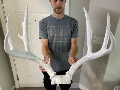 Heavy White Mule Deer Rack! Best offer.