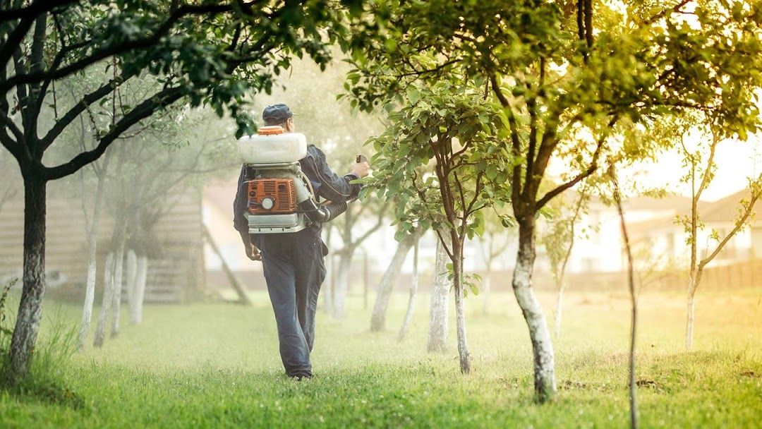 Small Pest Control Company