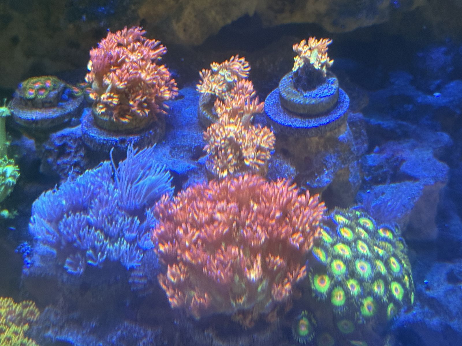 Main image 2